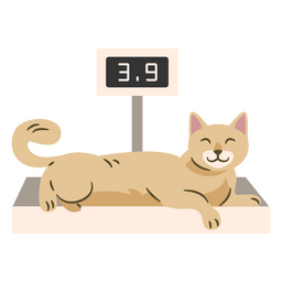 Cat being Weighed PNG Design Transparent PNG