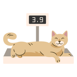 Gato siendo pesado Diseño PNG
