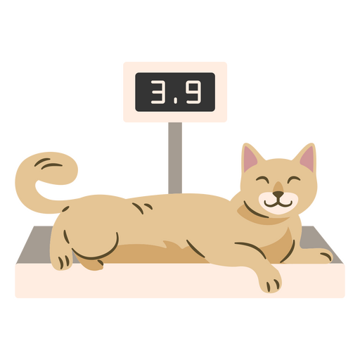 Cat being Weighed PNG Design