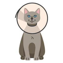 Gato con Cono de Cuello Diseño PNG