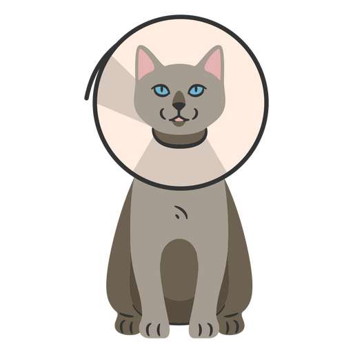 Cat with Neck Cone PNG Design