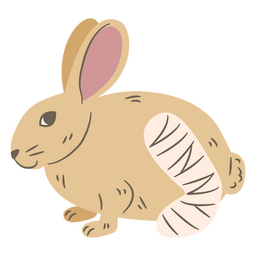 Bunny with Injured Leg PNG Design Transparent PNG
