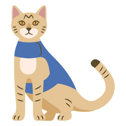 Gato despu?s de la cirug?a Diseño PNG