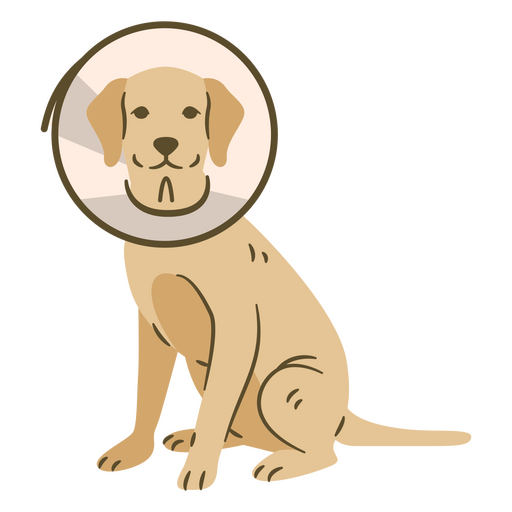 Cão com Pescoço Cone Desenho PNG