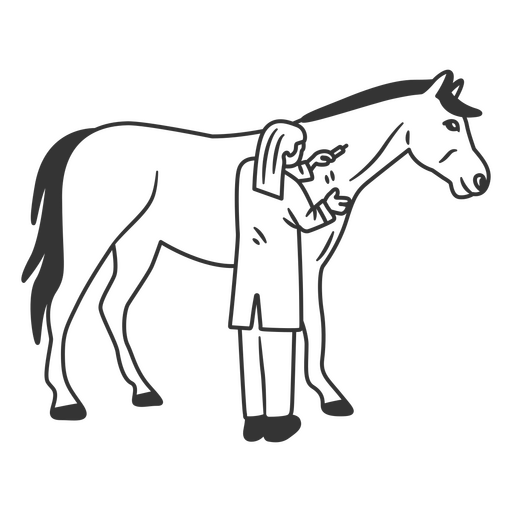 Veterinário com Cavalo Desenho PNG