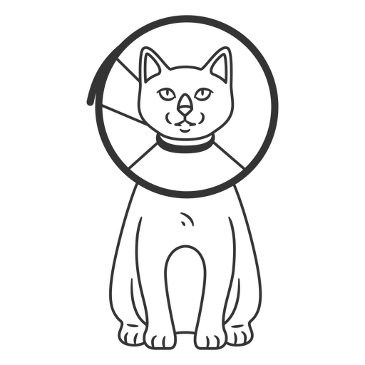 Gato de cono de cuello Diseño PNG