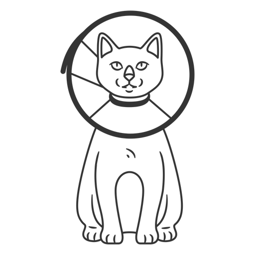 Pescoço Cone Gato Desenho PNG