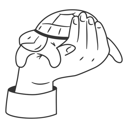 Hand Holding Turtle PNG Design