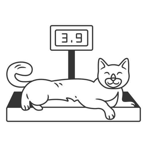 Cat on Weight Scale PNG Design