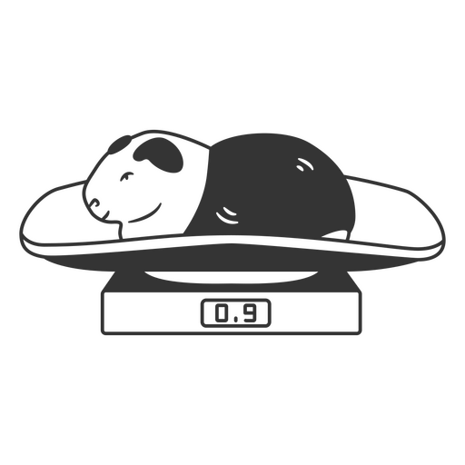 Guinea Pig on Weight Scale PNG Design