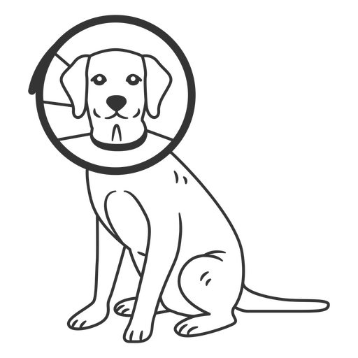 Cachorro Cone de Pescoço Desenho PNG