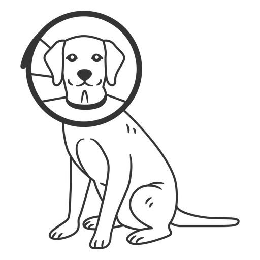 Neck Cone Dog PNG Design