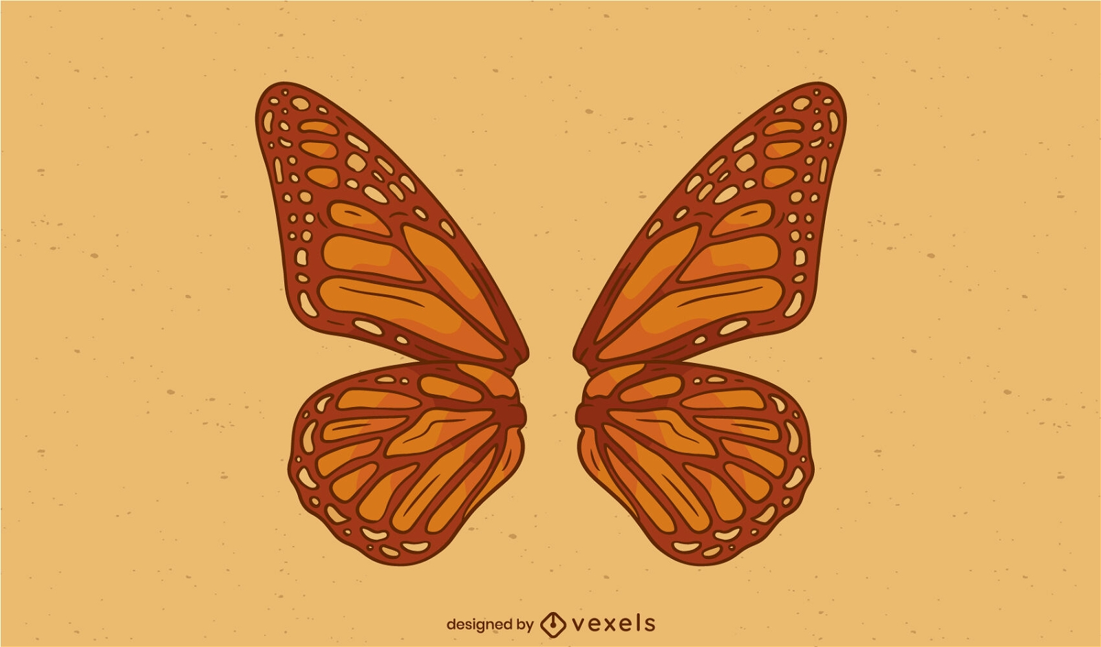 Butterfly wings illustration