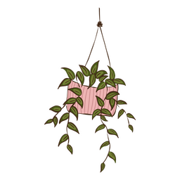 Cute hanging plant PNG Design Transparent PNG