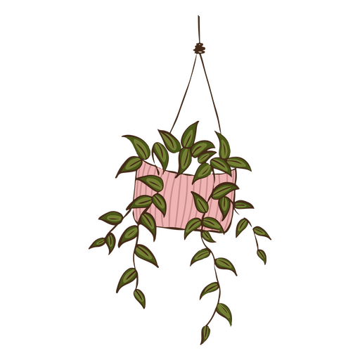 Cute hanging plant PNG Design