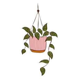 Nette hängende Pflanzennatur PNG-Design