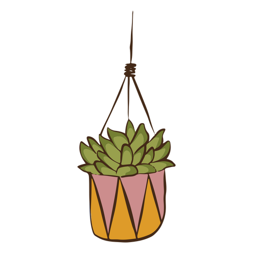 Planta colgante de decoración natural Diseño PNG