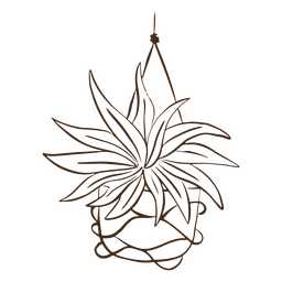 Linda planta colgante simple trazo naturaleza Diseño PNG
