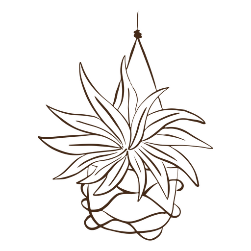 Niedliche hängende Pflanze, einfache Strichnatur PNG-Design