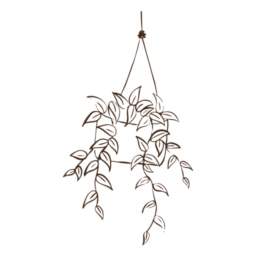 Simple stroke home decoration hanging plant