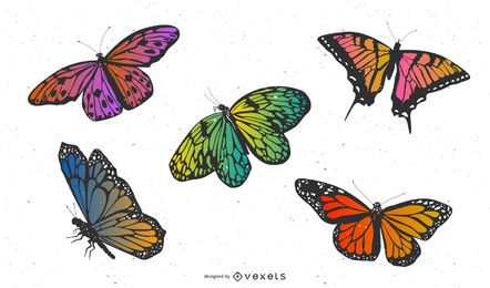 Vektormaterial exquisiter Schmetterling