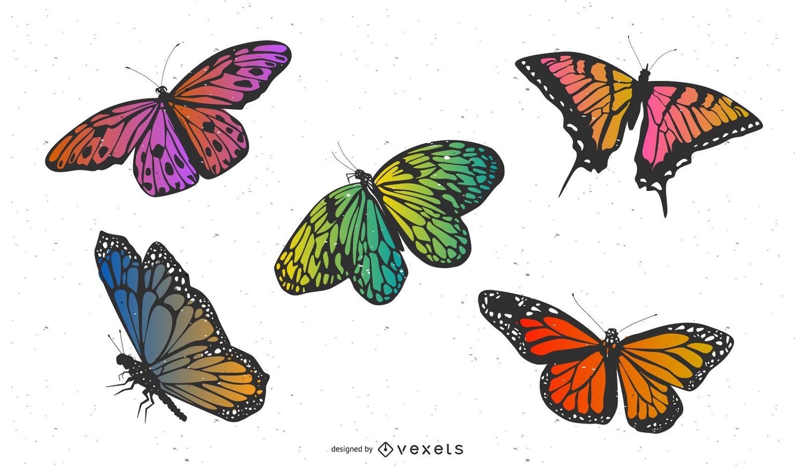 Vector material exquisite butterfly