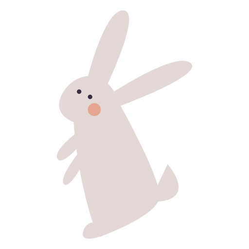 coelho branco liso
