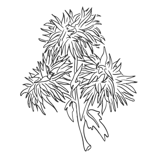 Wilde Blumen des botanischen Schlaganfalls PNG-Design
