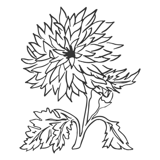 Wilder Blumenschlag botanisch PNG-Design