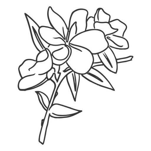 Blumen streicheln niedlich botanisch PNG-Design