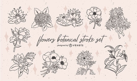 Botanical sketch flowers set
