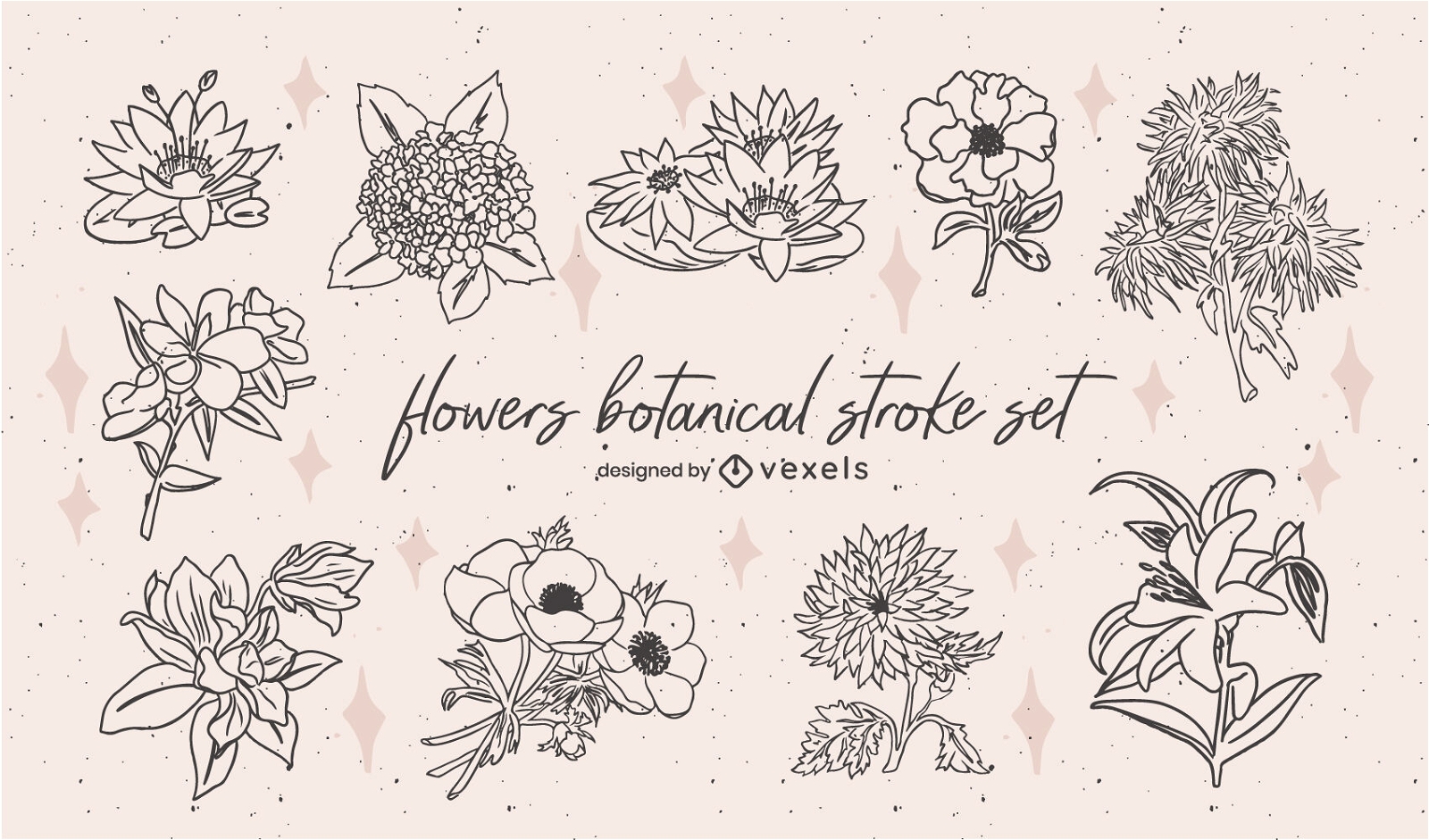 Conjunto de flores de dibujo botánico