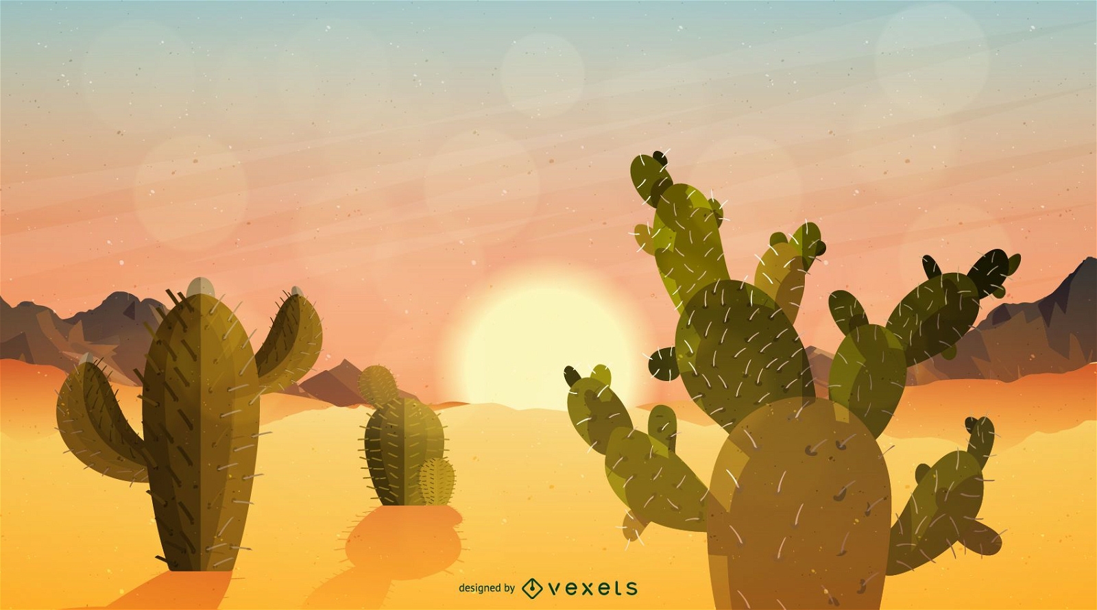Cactus Sunrise Desert