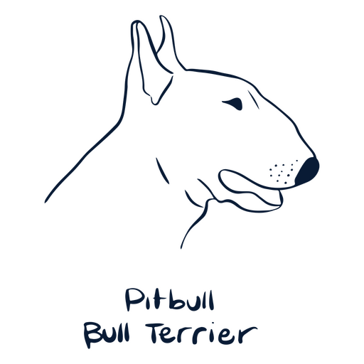 Animal de raça de cão Pitbull Terrier Desenho PNG