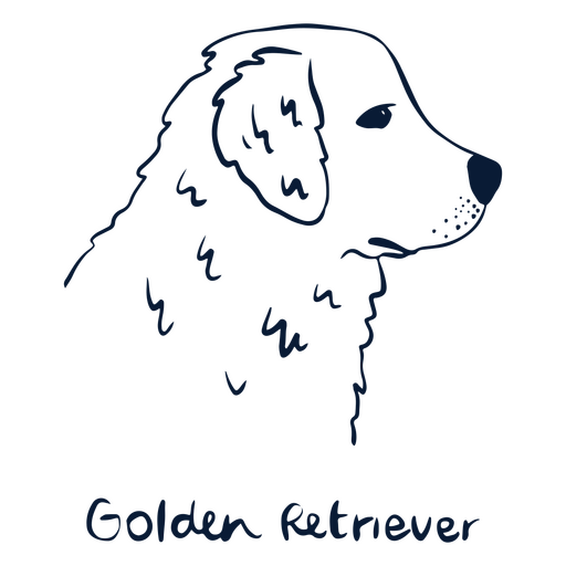 Animal de Golden Retriever da raça do cão Desenho PNG