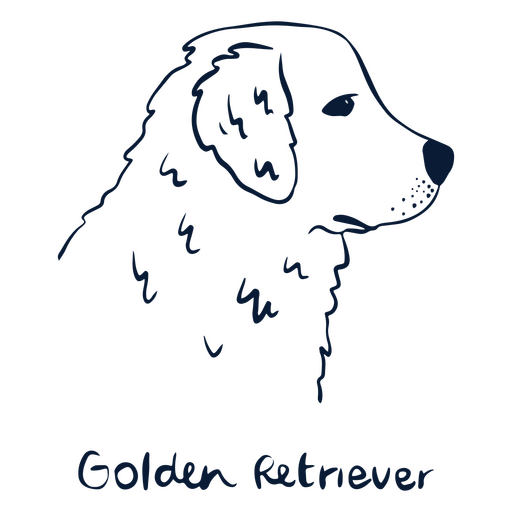 Dog breed Golden Retriever animal PNG Design