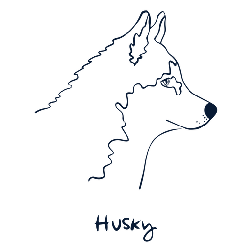 Raça de cachorro Husky animal Desenho PNG