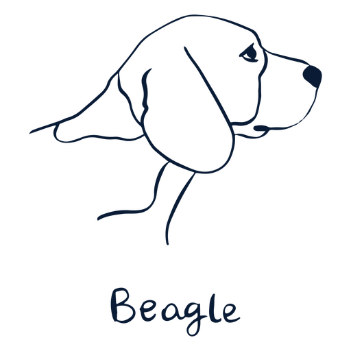 Animal de ra?a de cachorro Beagle Desenho PNG