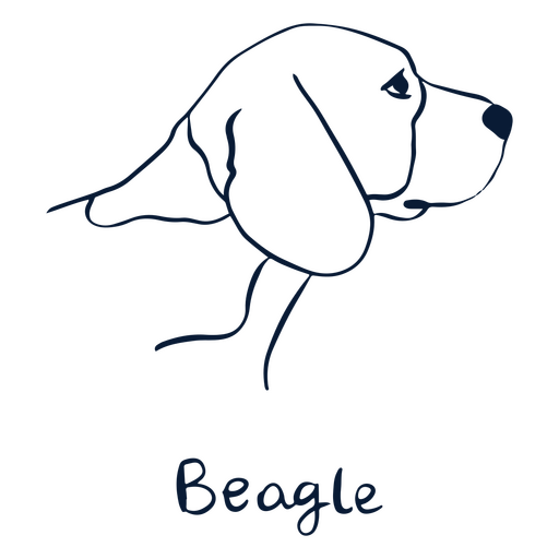 Animal de raça de cachorro Beagle Desenho PNG