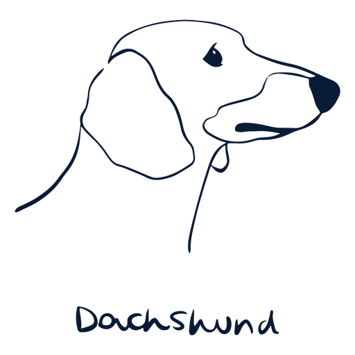 Dog breed Dachshund animal PNG Design