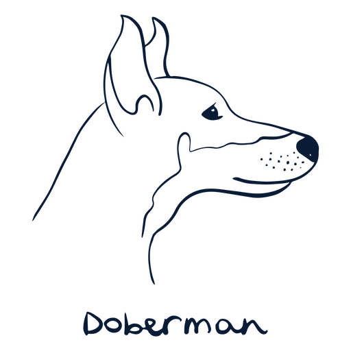 Dog breed Doberman animal PNG Design