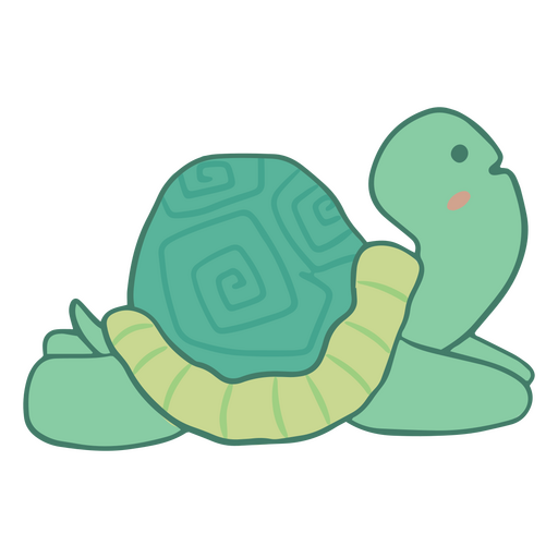 Cute turtle yoga character