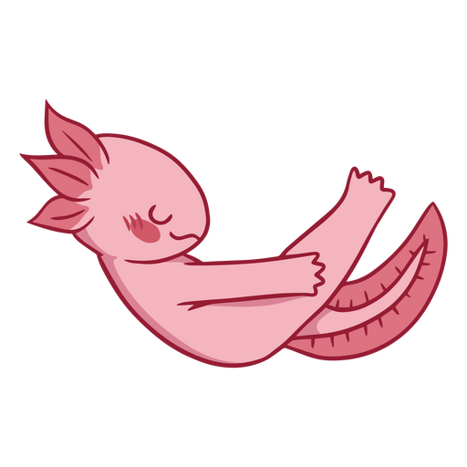 Barco de traçado de cor Yogui axolotl Desenho PNG