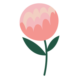 Rosa rosa minimalista Diseño PNG