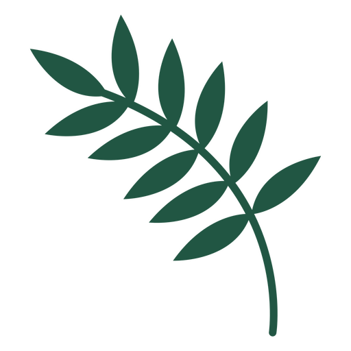 Leaves delicate flat green PNG Design