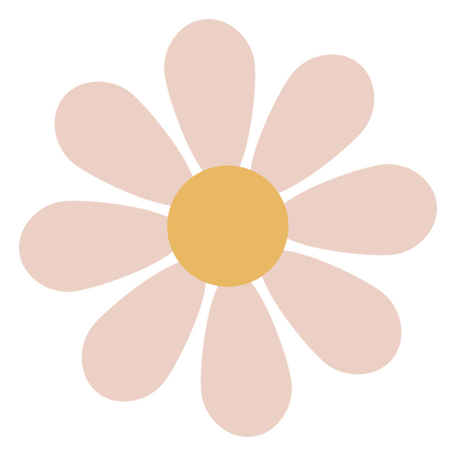 Minimalistische Gänseblümchenblume PNG-Design