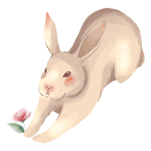 Easter cute pose bunny