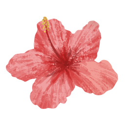 ícone de flores tropicais Desenho PNG