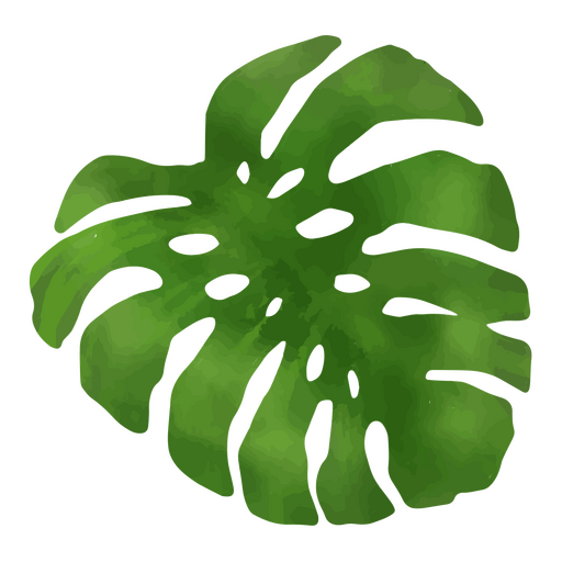 Ícone de natureza de folha tropical Desenho PNG