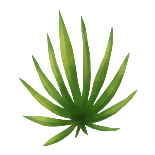 Tropical plant leaf nature icon